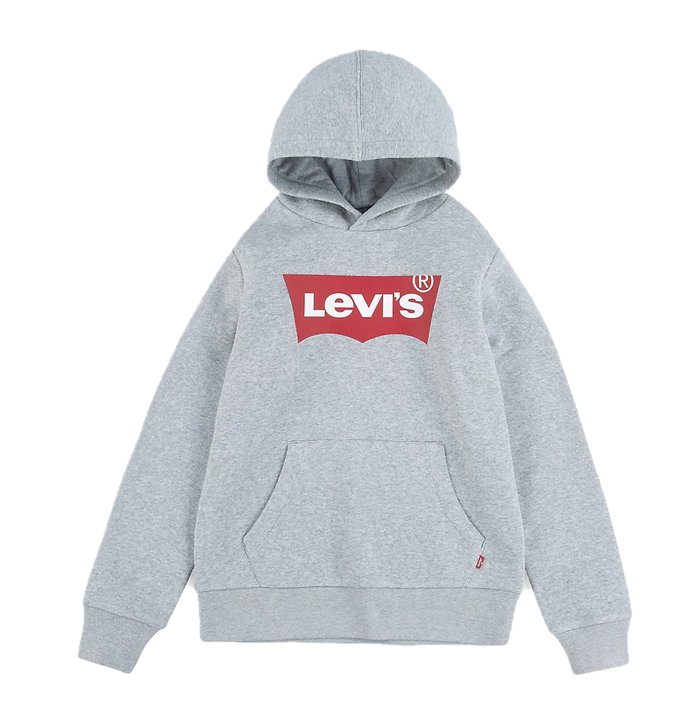 Hoodie gris