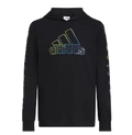 Hoodie negro